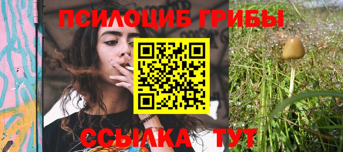 Галлюциногенные грибы мицелий Красногорск