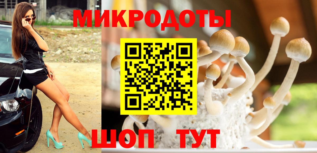 Красногорск  Галлюциногенные грибы прущие грибы  Галлюциногенные грибы прущие грибы  как найти закладки  Вход с VPN 